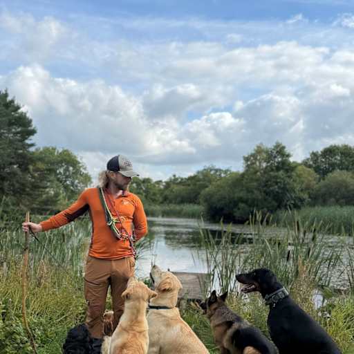 Profile image for pet sitter Mark