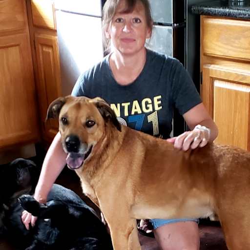 Profile image for pet sitters Pamela & John