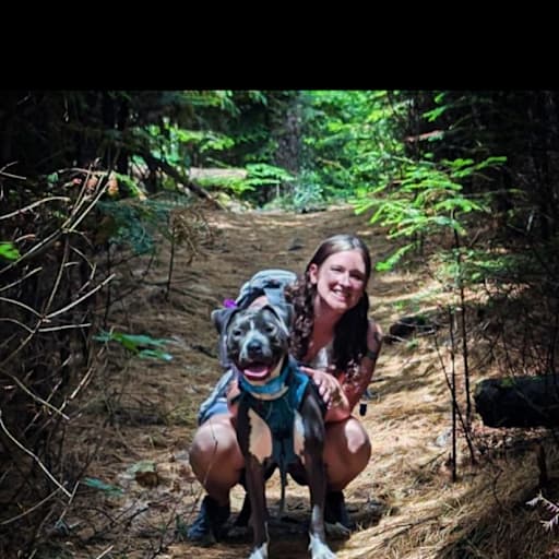 Profile image for pet sitter Nikki