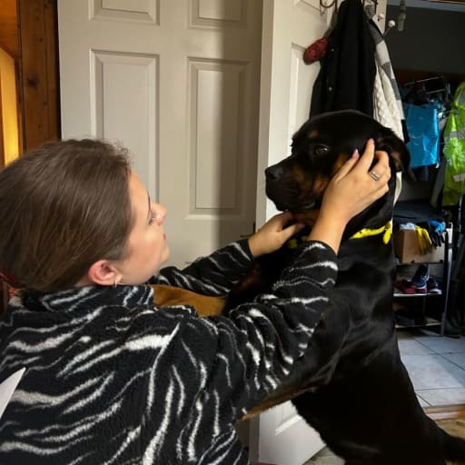 Profile image for pet sitter Sinead