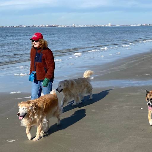 Profile image for pet sitters Cindy & Dan