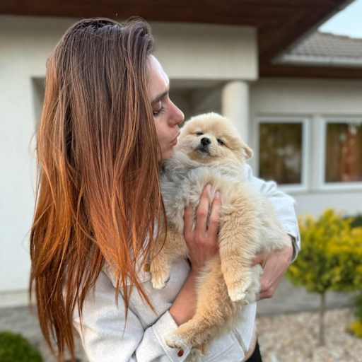 Profile image for pet sitter Nikola
