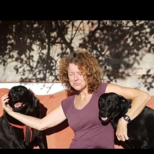 Profile image for pet sitter Debbie