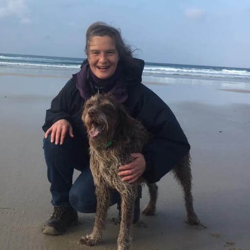 Profile image for pet sitter Clare