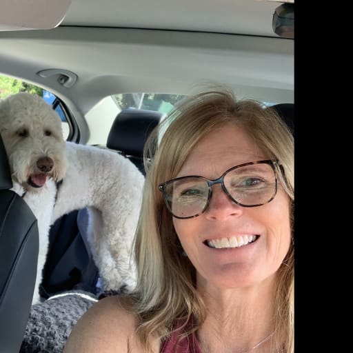 Profile image for pet sitter barbie