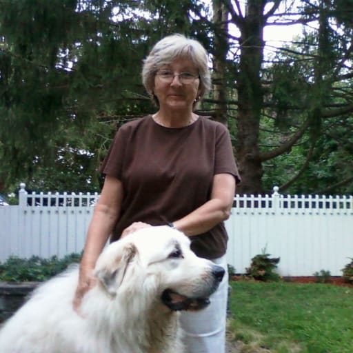 Profile image for pet sitter Pat