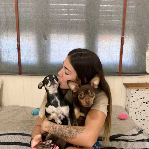 Profile image for pet sitters Martina & Valentin