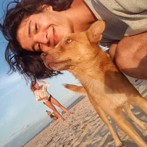 Profile image for pet sitter Juan