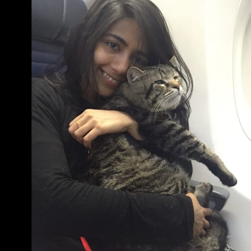 Profile image for pet sitter Jahnavi