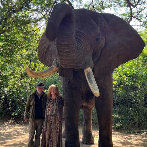 Profile image for pet sitters Imogen & Charles