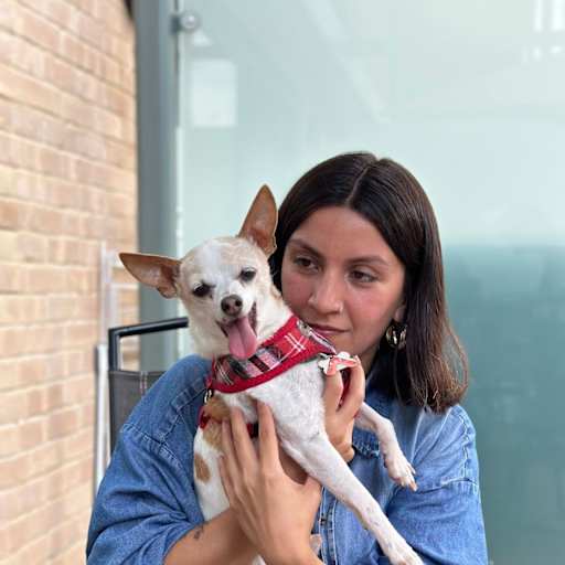 Profile image for pet sitter LUISA