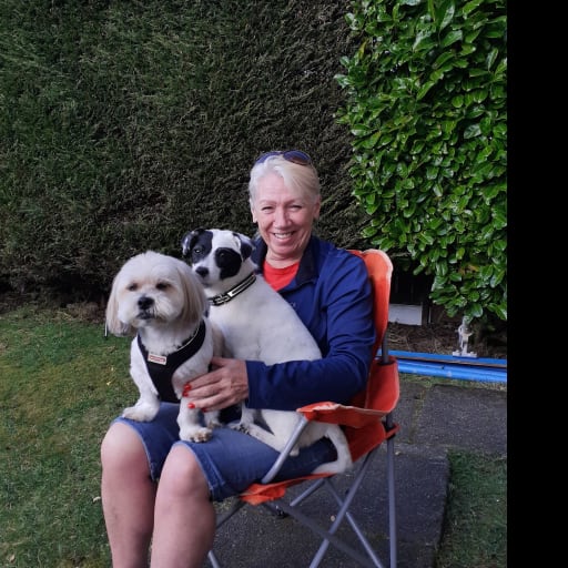 Profile image for pet sitter Margaret