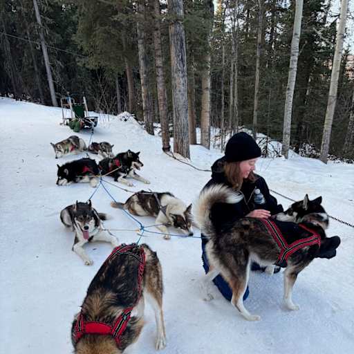Profile image for pet sitter Julia