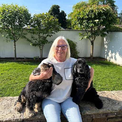 Profile image for pet sitter Chris