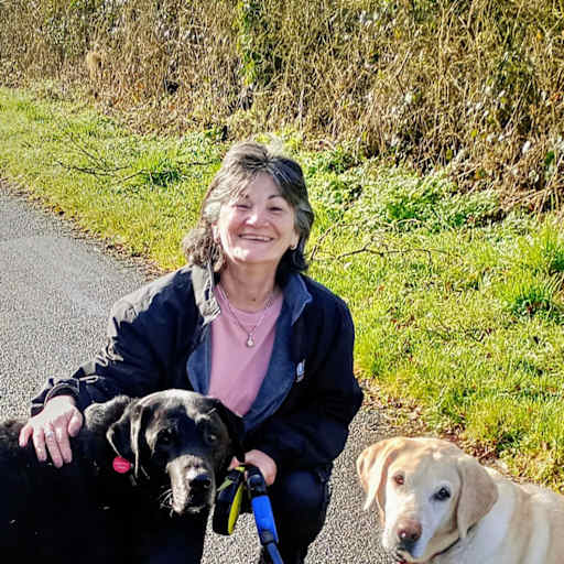 Profile image for pet sitter Silvia