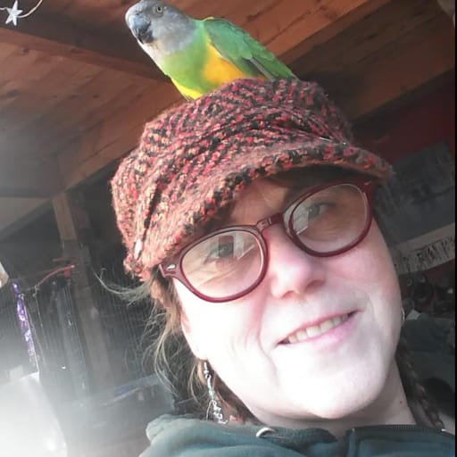 Profile image for pet sitter DJ