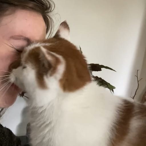 Profile image for pet sitter Fia