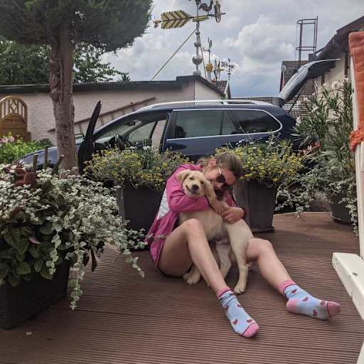 Profile image for pet sitters Klara & Alexander