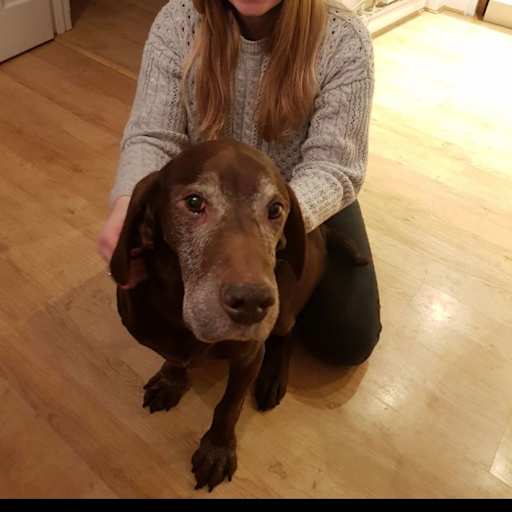 Profile image for pet sitter Laura
