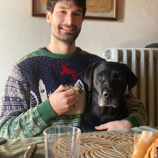 Profile image for pet sitter Francesco