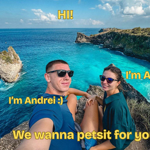 Profile image for pet sitters Alina & Andrei