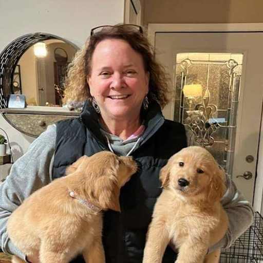 Profile image for pet sitter Emily