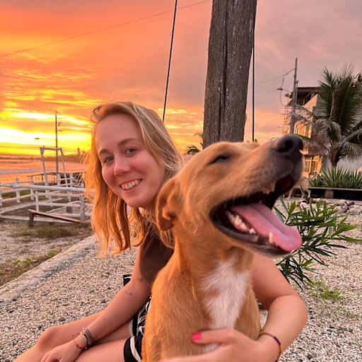Profile image for pet sitter Kim