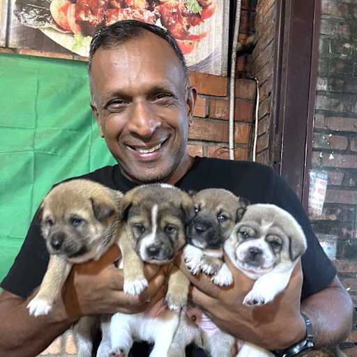 Profile image for pet sitter Aanan