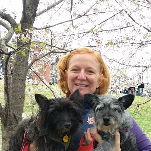 Profile image for pet sitters Ginger G & Jennifer