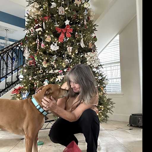 Profile image for pet sitter Dorothy