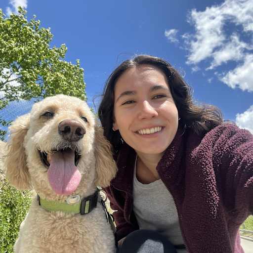 Profile image for pet sitter Sara