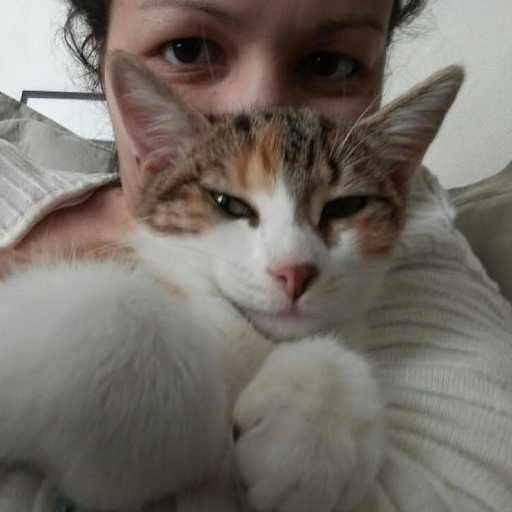 Profile image for pet sitter Caroline