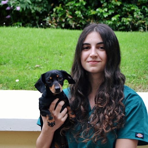 Profile image for pet sitter Sara