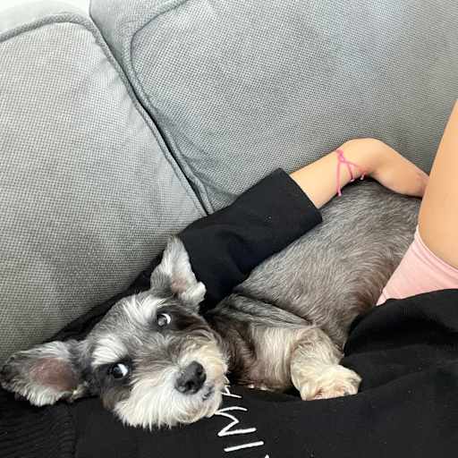 Profile image for pet sitter Gabriela