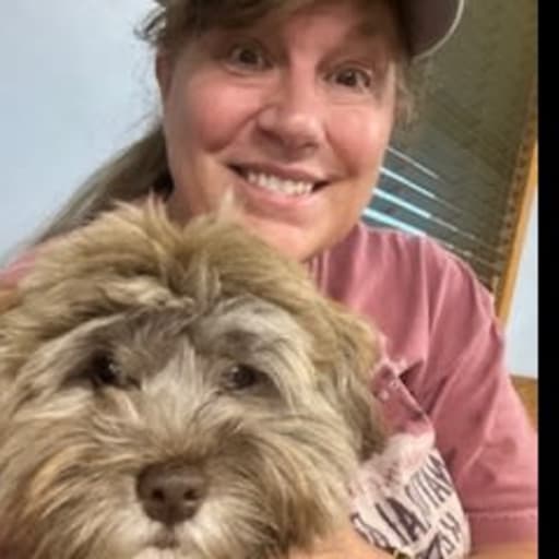 Profile image for pet sitter Lynne