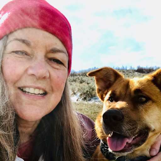 Profile image for pet sitter Jewel