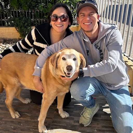 Profile image for pet sitters Daniela & Cristian