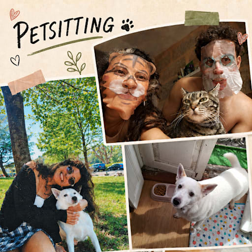 Profile image for pet sitters Daniel & Busra