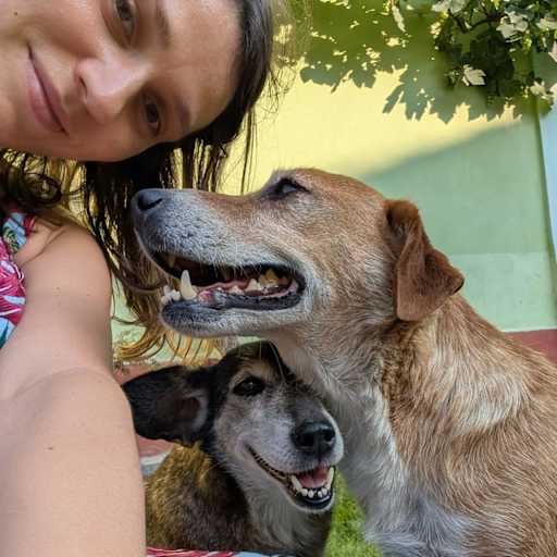 Profile image for pet sitters Laura & Vadim