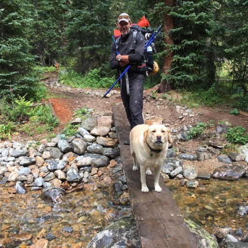 Profile image for pet sitter Brad