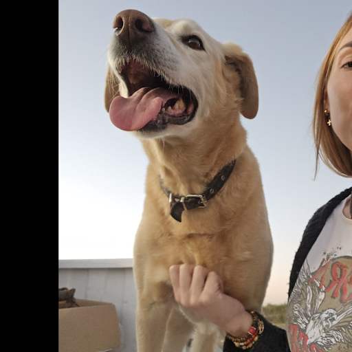 Profile image for pet sitter tatiana