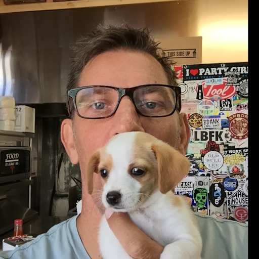 Profile image for pet sitter loren