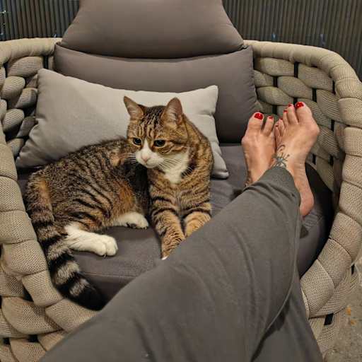 Profile image for pet sitter Sarah