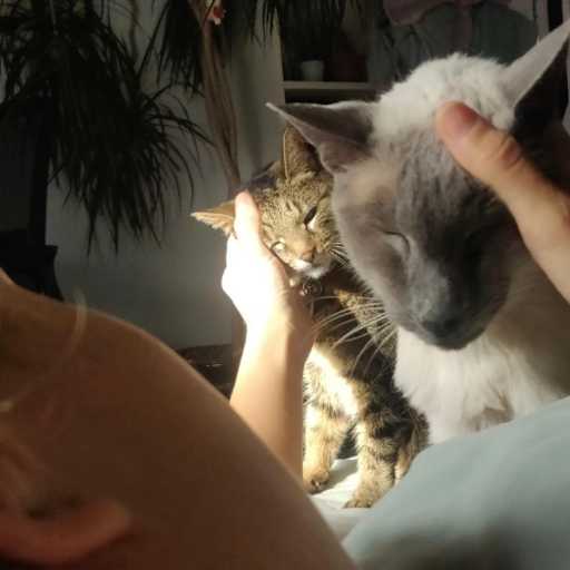 Profile image for pet sitters Shakura & Martin