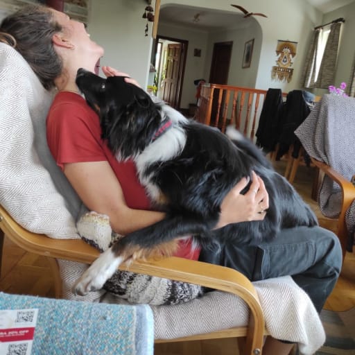 Profile image for pet sitter Tes