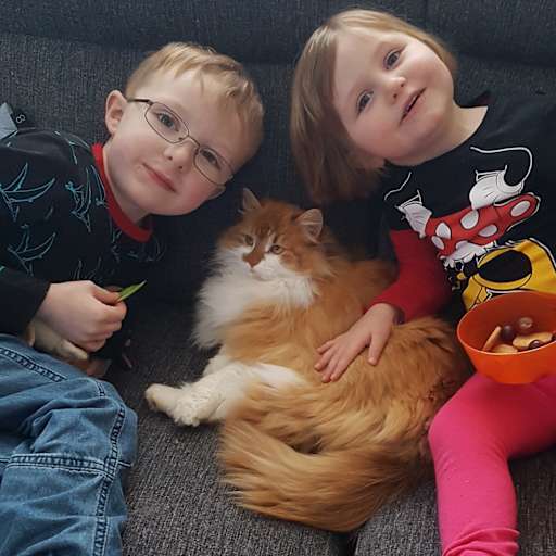 Profile image for pet sitters Lena & Tomas