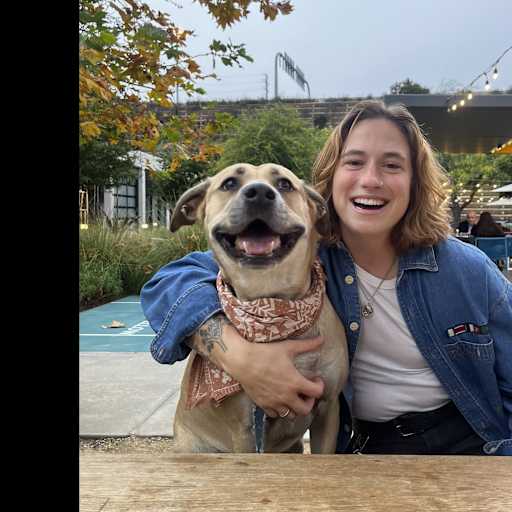 Profile image for pet sitter Brighten