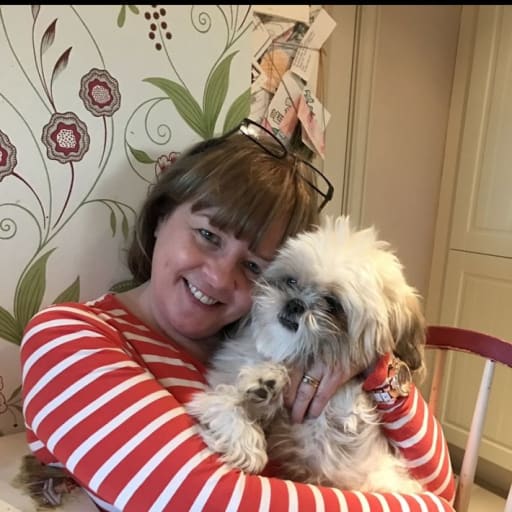 Profile image for pet sitter Nuala