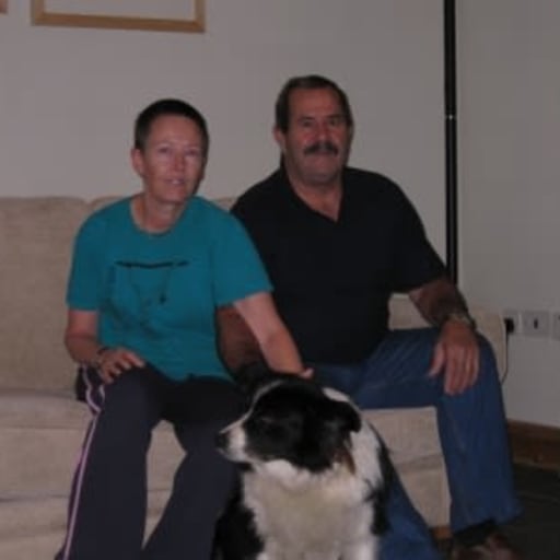 Pet Sitters That You Can Trust