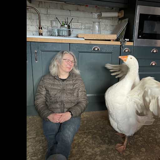 Profile image for pet sitter Judy